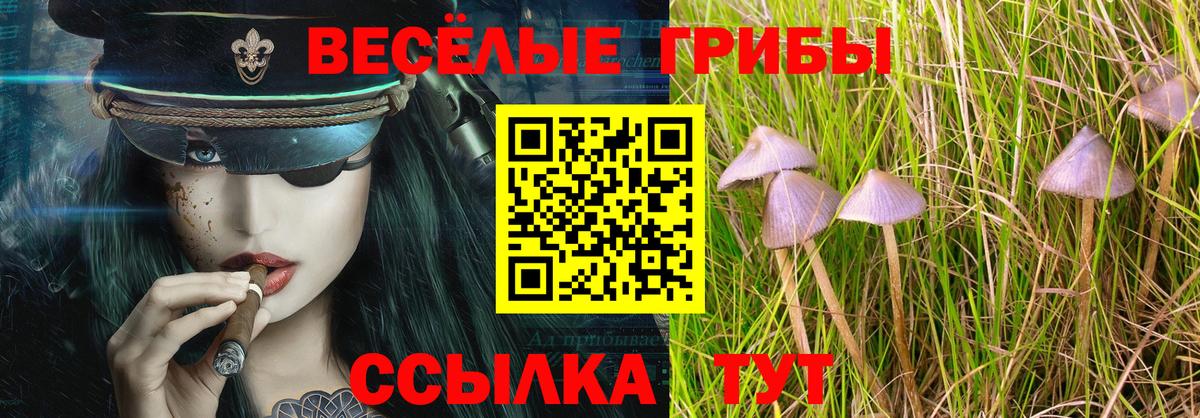 Псилоцибиновые грибы Psilocybine cubensis  Вход с VPN  купить наркотик  Кисловодск 